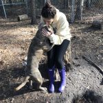 girl kissing a dog on the forehead