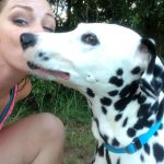 dalmation kissing woman